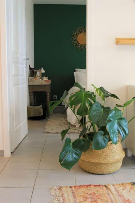 Cosy Appartement Entre Vignes Et Garrigue Avec Piscine Peret Bagian luar foto